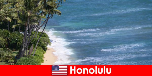Scopri le principali attrazioni di Honolulu con le famiglie