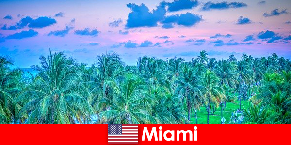 Miami natura mozzafiato con grande natura selvaggia tropicale