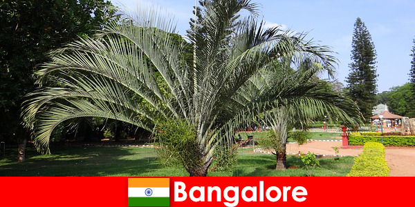 Il clima piacevole di Bangalore tutto l’anno vale un viaggio per ogni straniero