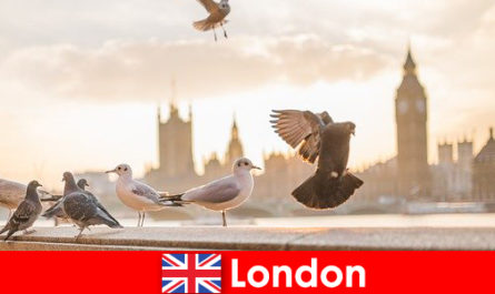 Luoghi da visitare a Londra per i visitatori internazionali di origine straniera
