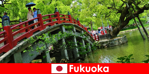 Per gli immigrati, Fukuoka è un’atmosfera rilassata e internazionale con un’alta qualità della vita