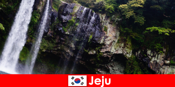 Jeju in Corea del Sud, l’isola vulcanica subtropicale con foreste mozzafiato per gli stranieri