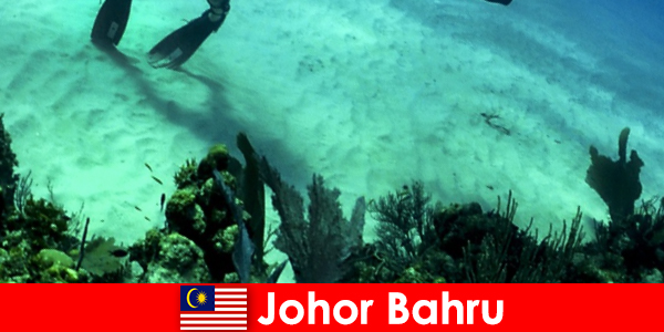 Attività avventurose a Johor Bahru Immersioni, arrampicate, escursioni e molto altro