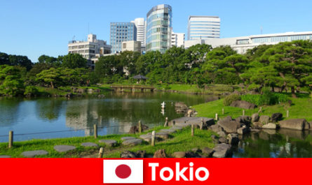 I turisti si godono da vicino le vecchie e le nuove tradizioni a Tokyo in Giappone