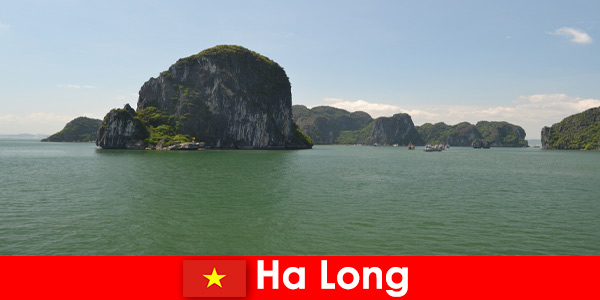 Gite in barca per i vacanzieri ai giganti del rock in Ha Long Vietnam