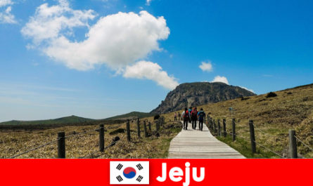 I turisti fanno un'escursione attraverso il fantastico paesaggio naturale di Jeju in Corea del Sud