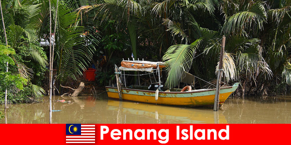 Viaggio a lunga distanza per gli escursionisti attraverso la giungla dell’isola di Penang in Malesia