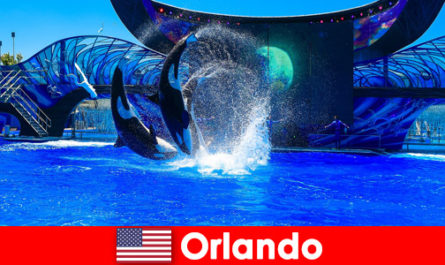 Prenota viaggi individuali per stranieri a Orlando negli Stati Uniti