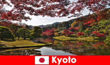 Viaggio all'estero a Kyoto in Giappone per vedere la famosa colorazione del fogliame autunnale