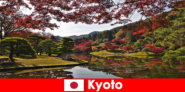 Viaggio all’estero a Kyoto in Giappone per vedere la famosa colorazione del fogliame autunnale
