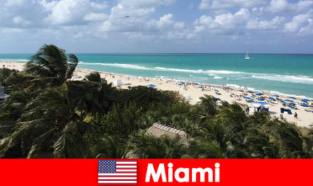 Le onde sabbiose delle palme attendono i vacanzieri a lungo termine nella paradisiaca Miami Stati Uniti