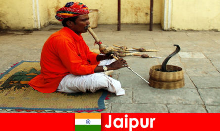 A Jaipur, in India, i vacanzieri sperimentano la danza dei serpenti e l'intrattenimento nelle strade trafficate