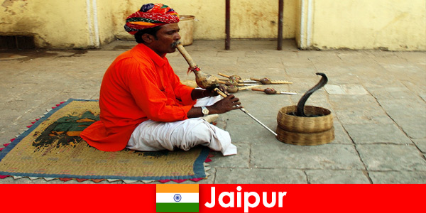 A Jaipur, in India, i vacanzieri sperimentano la danza dei serpenti e l’intrattenimento nelle strade trafficate