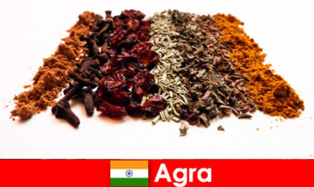 Tour per turisti nella raffinata cucina delle spezie ad Agra India
