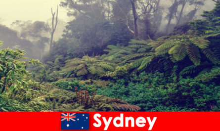 Viaggio esplorativo a Sydney in Australia nell'impressionante mondo dei parchi nazionali