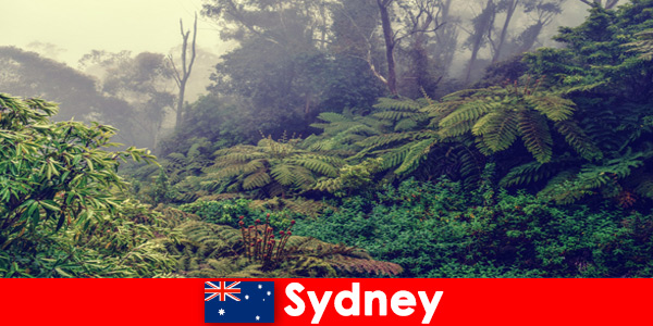 Viaggio esplorativo a Sydney in Australia nell’impressionante mondo dei parchi nazionali