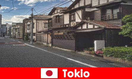 Viaggio da sogno nei quartieri più affascinanti di Tokyo Giappone