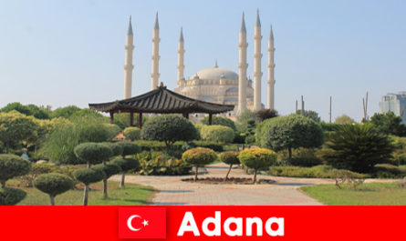Viaggio educativo storico per viaggiatori dall'estero ad Adana Turchia