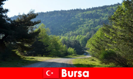 Bursa Turchia offre escursioni organizzate per turisti escursionisti nella splendida natura