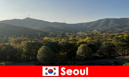 Pacchetti vacanza popolari per gruppi a Seoul Corea del Sud