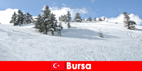 Gita invernale per famiglie nel più grande comprensorio sciistico Bursa Turchia