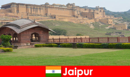 Viaggio di benessere con il miglior servizio per i vacanzieri a Jaipur, in India