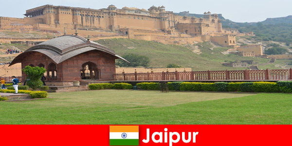 Viaggio di benessere con il miglior servizio per i vacanzieri a Jaipur, in India
