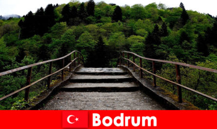 La temperatura mite è il momento migliore per le escursioni per i vacanzieri a Bodrum, in Turchia