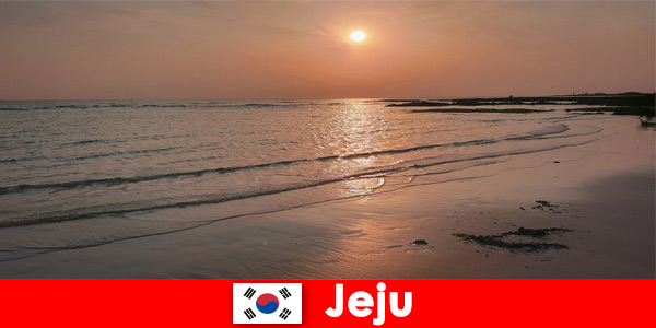 Destinazione da sogno per matrimoni e ospiti dall’estero a Jeju, in Corea del Sud