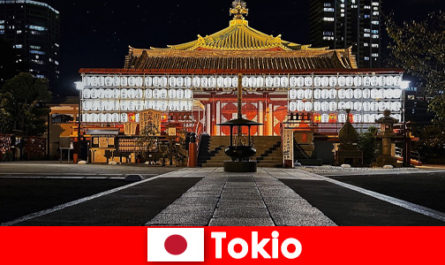 Viaggio all'estero per gli ospiti in Giappone Vivi la cultura di Tokyo in loco