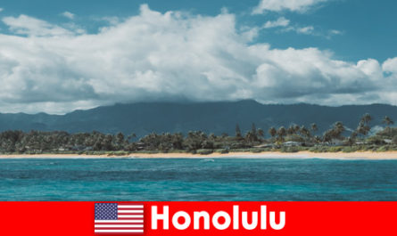 I viaggi subacquei per i vacanzieri sportivi a Honolulu negli Stati Uniti un'esperienza unica