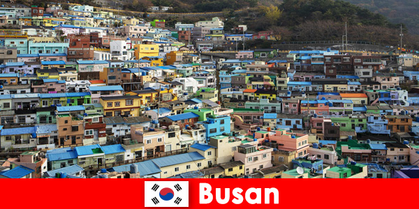 Viaggio all'estero a Busan in Corea del Sud con cultura gastronomica ad ogni angolo per pochi soldi