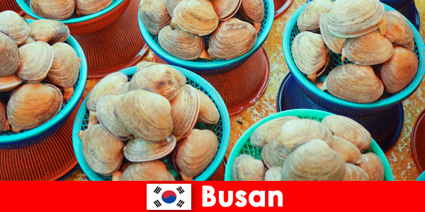 Busan Corea del Sud ha pesce fresco tutti i giorni al mercato