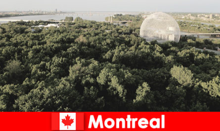 I viaggiatori con lo zaino esplorano la natura selvaggia a piedi a Montreal in Canada