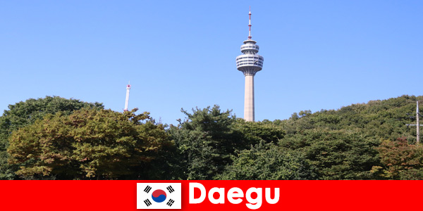 La bellissima città di Daegu in Corea del Sud ama i turisti provenienti da tutto il mondo