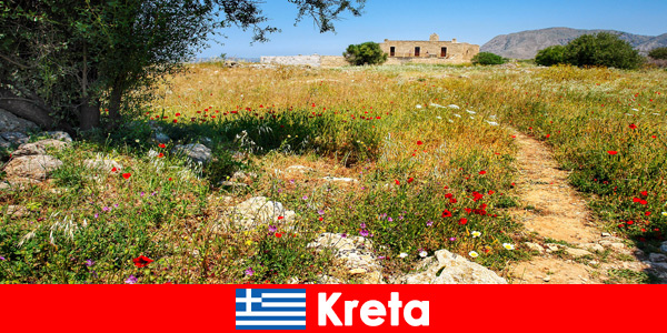 Una sana cucina mediterranea con esperienze nella natura attendono i vacanzieri a Creta, in Grecia