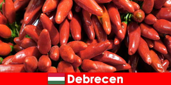 La verdura più famosa che si trova in quasi tutti i piatti a Debrecen in Ungheria