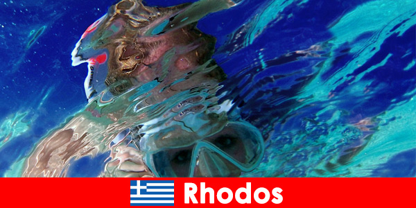 Affascinante mondo sottomarino da scoprire nel paradiso delle vacanze di Rodi, in Grecia