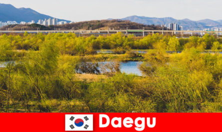 I migliori consigli per i viaggiatori indipendenti a Daegu, in Corea del Sud