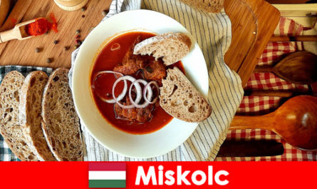 Gli ospiti a Miskolc Ungheria apprezzano le località e la cultura locali