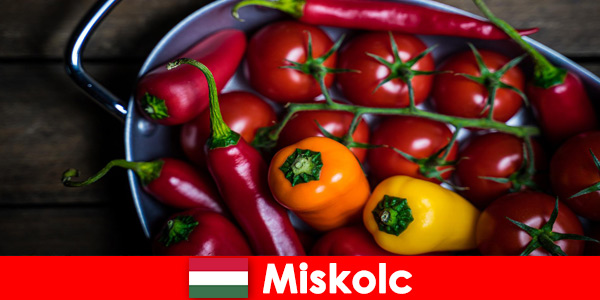 Miskolc in Ungheria offre cibo sano e fresco con prodotti regionali