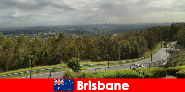 Raccogli grandi impressioni sia salutari che malsane a Brisbane Australia come estraneo