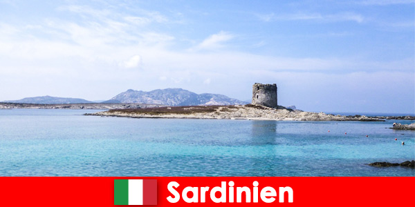 Viaggio culinario in Sardegna alla scoperta della cucina italiana