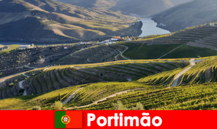 Gli ospiti adorano la degustazione di vini e le prelibatezze sulle montagne di Portimão in Por-togallo