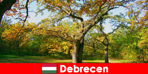 Vacanza termale per pensionati a Debrecen Ungheria con tanto cuore
