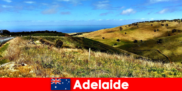 Viaggio a lunga distanza per i vacanzieri ad Adelaide, in Australia, nel meraviglioso mondo naturale