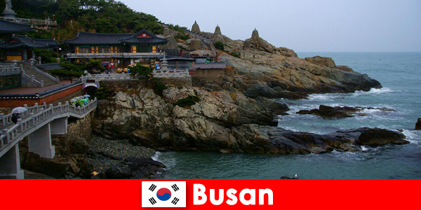 Busan Corea del Sud una città di cui innamorarsi