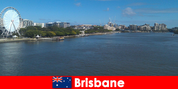 Vivi fantastiche esperienze a Brisbane in Australia come straniero