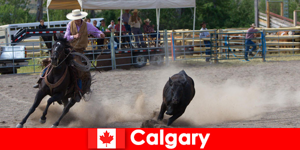 La gente del posto e gli ospiti di tutto il mondo adorano i rodei a Calgary, in Canada
