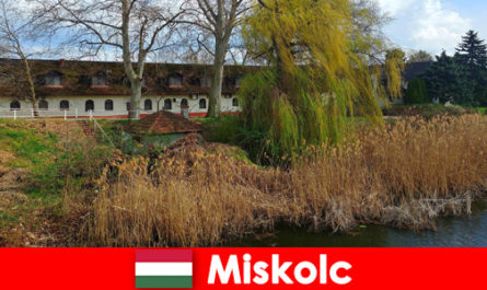 Confronta i prezzi di hotel e alloggio a Miskolc Ungheria vale la pena